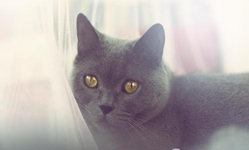 20150601151831_703.png