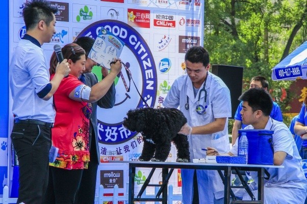文明养犬四六级测试，免费教授宠物行为学